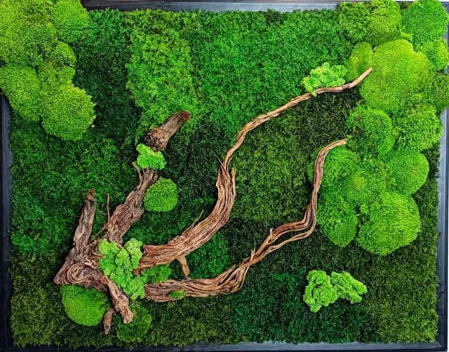 ساختمان