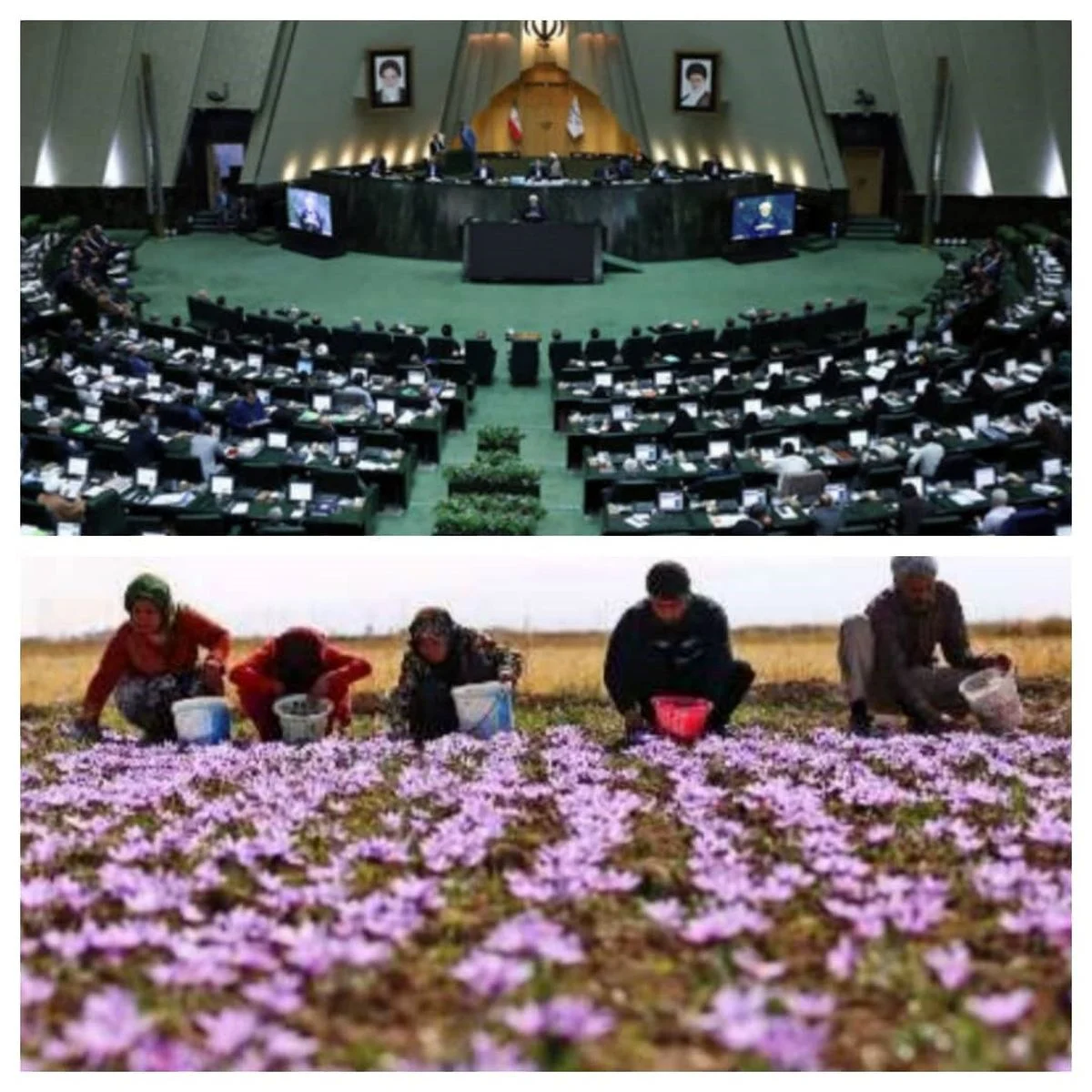 بازرگانی