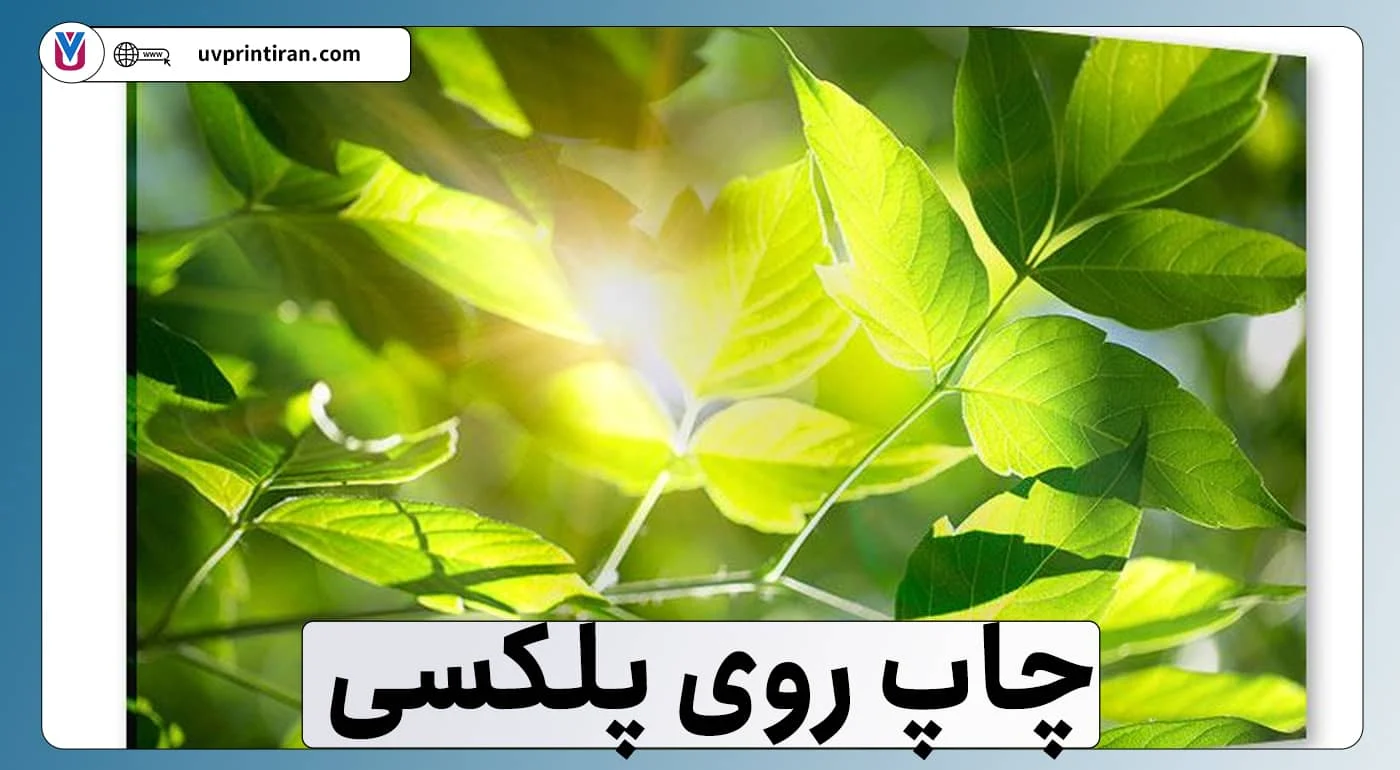 بازرگانی