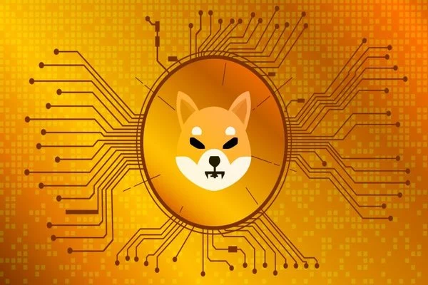 دیجیتال | شیبا