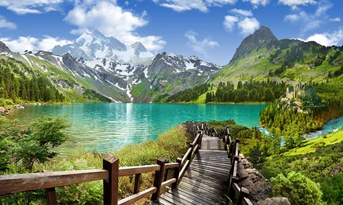 سوئیس سوئیس