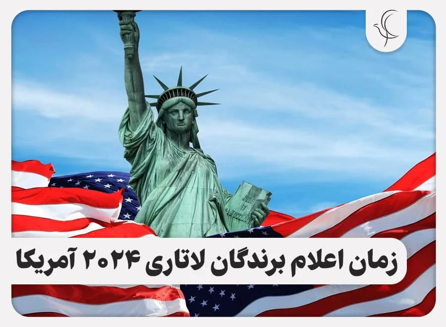 سایت سایت