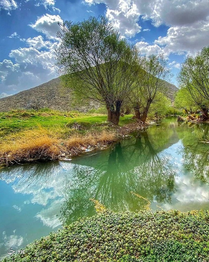 گردشگری و مهاجرت