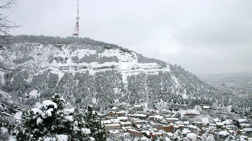 گردشگری و مهاجرت