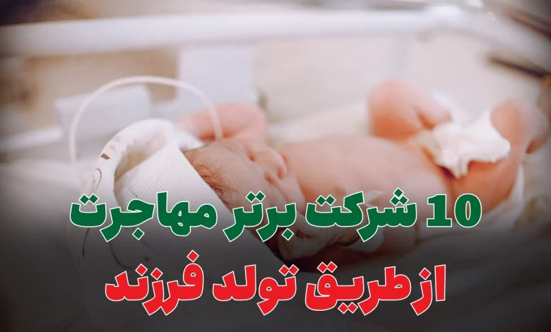 مهاجرت مهاجرت