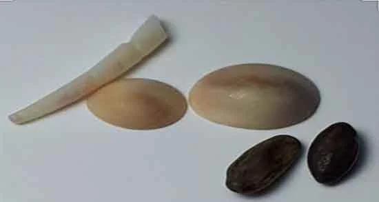 عمومی