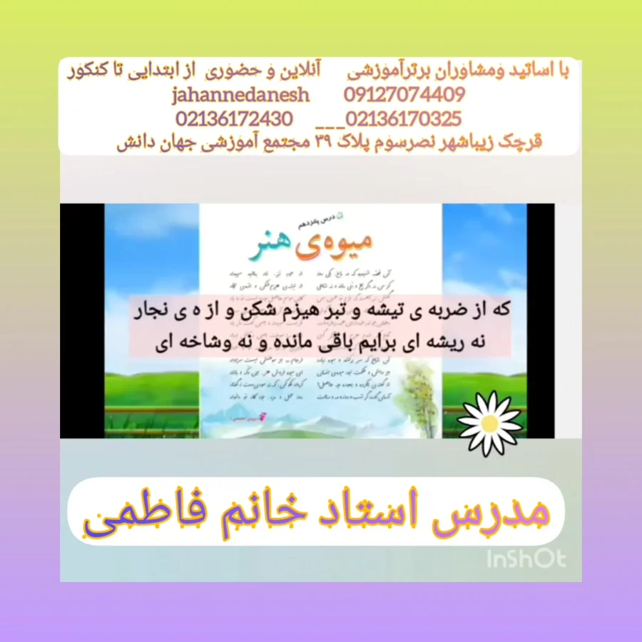 عمومی