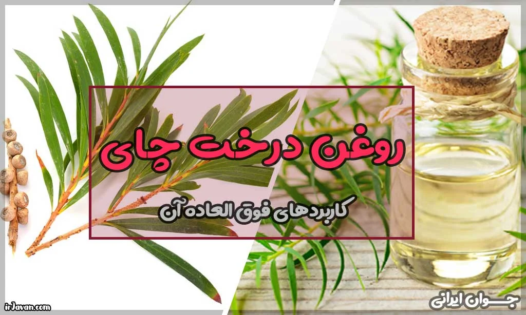 روغن روغن