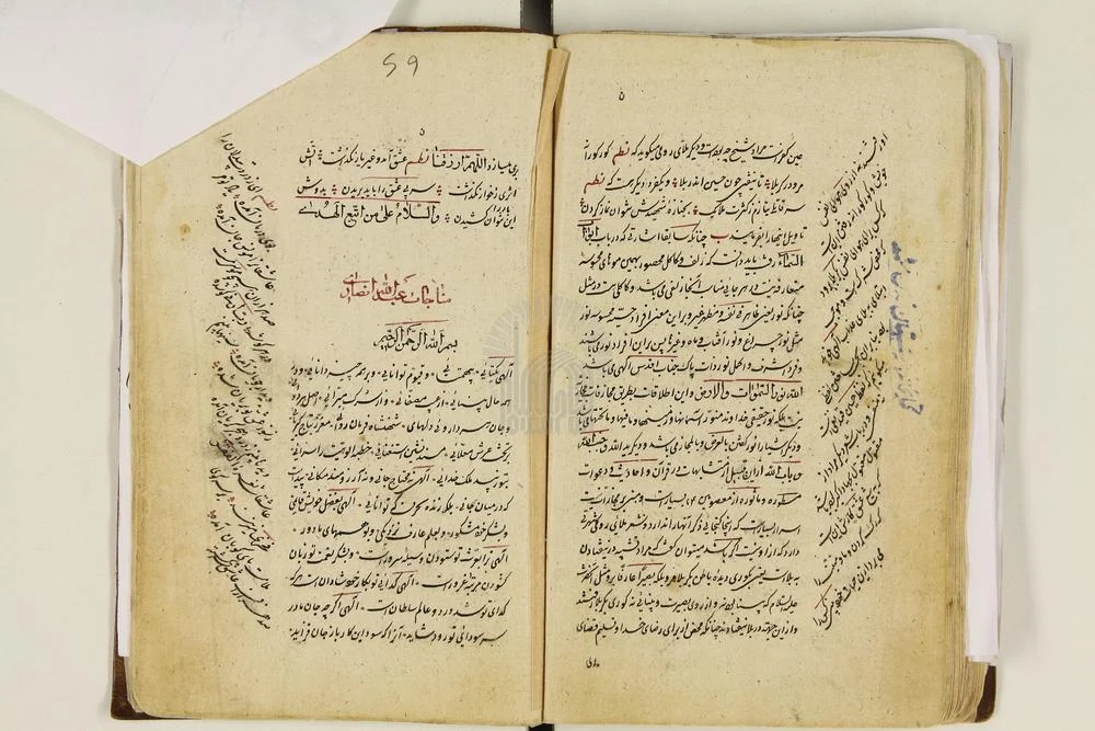 عمومی