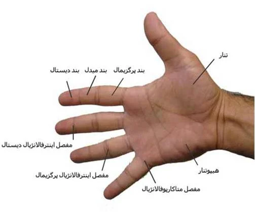 خانواده