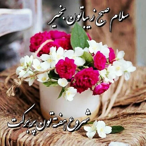 عمومی