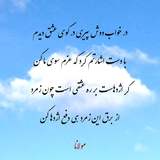 عمومی