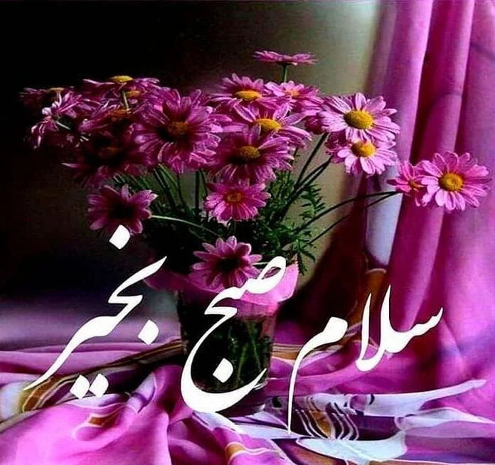 عمومی