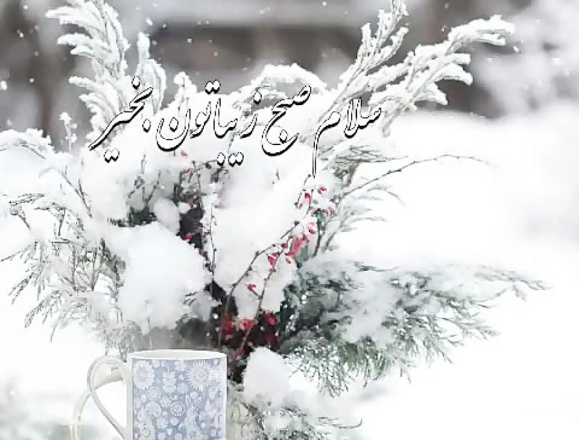 عمومی