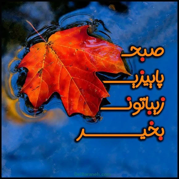 عمومی