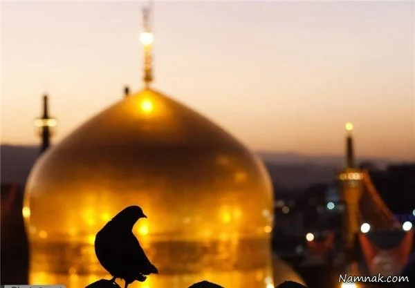 عمومی