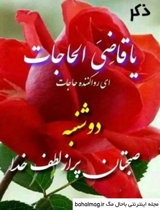 عمومی