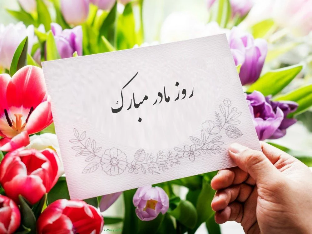 عمومی