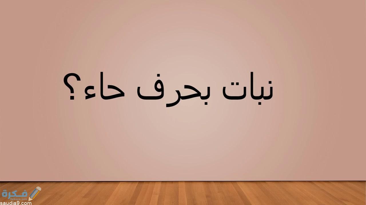 عمومی