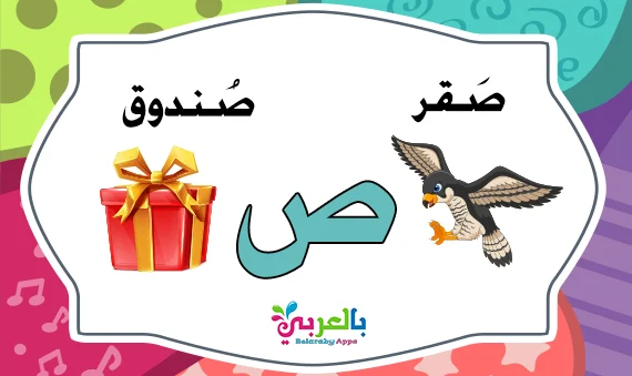 عمومی
