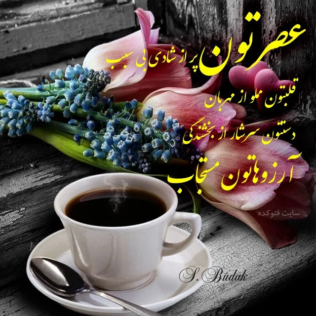عمومی
