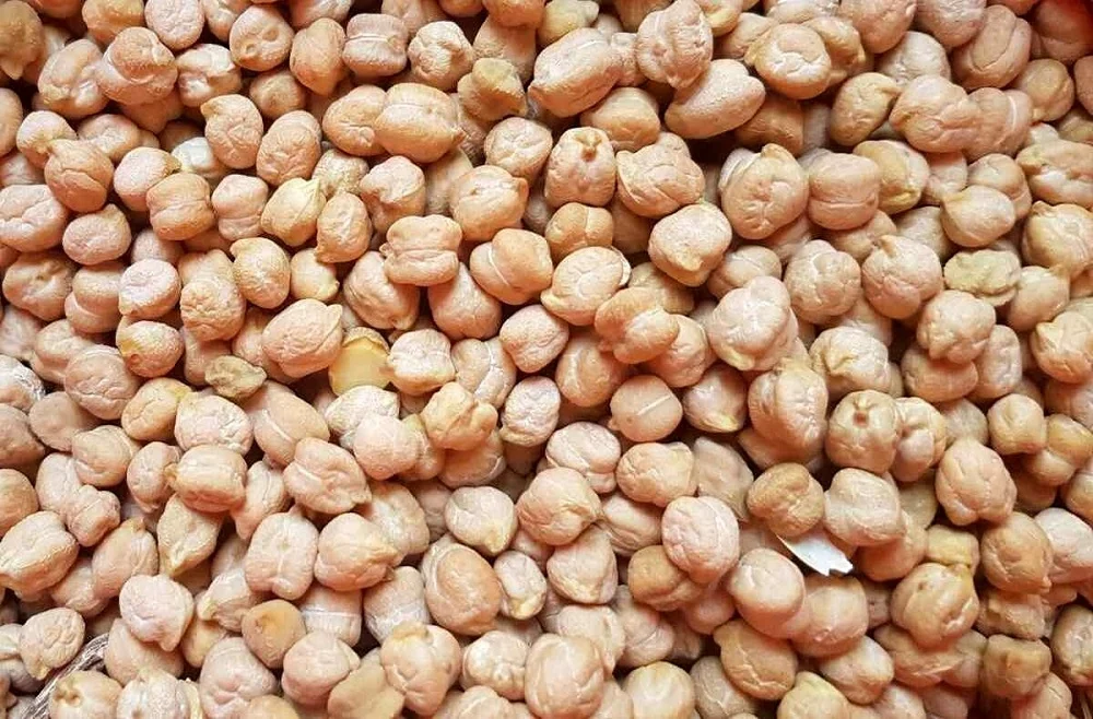 عمومی