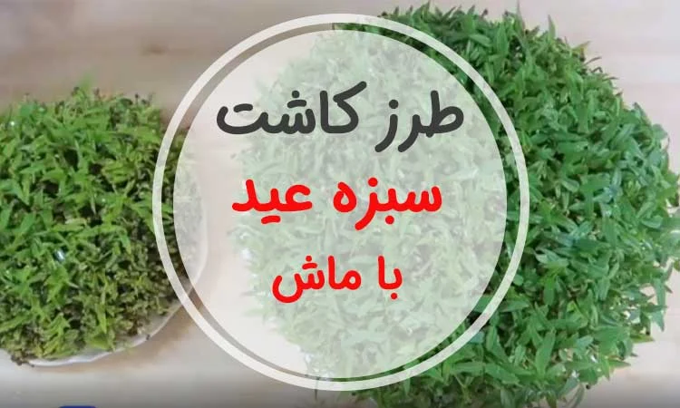 عمومی