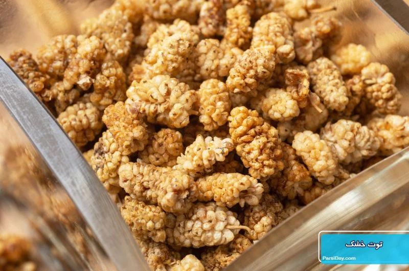 عمومی