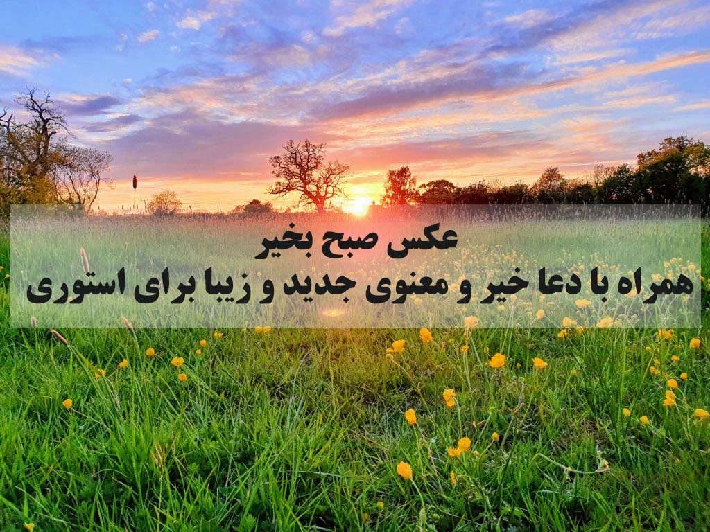 عمومی