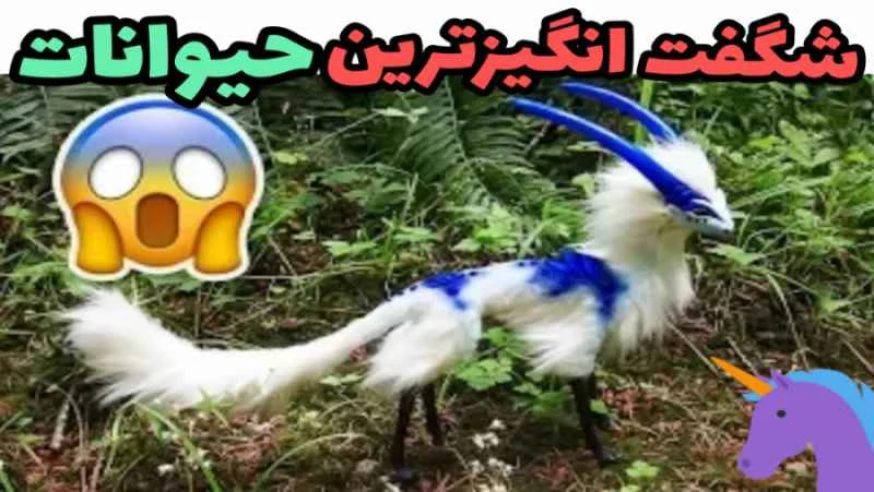 عمومی