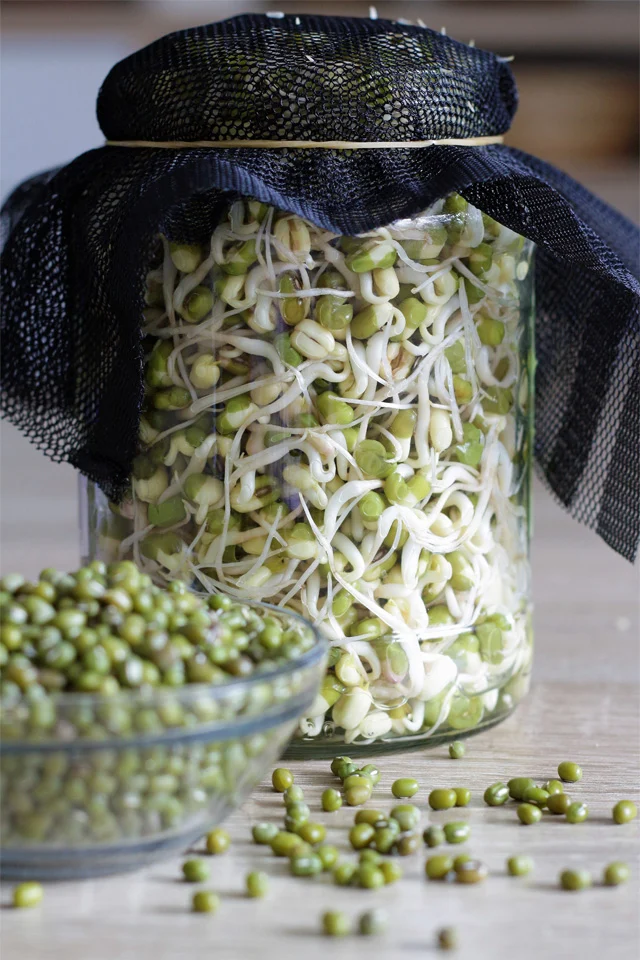 عمومی