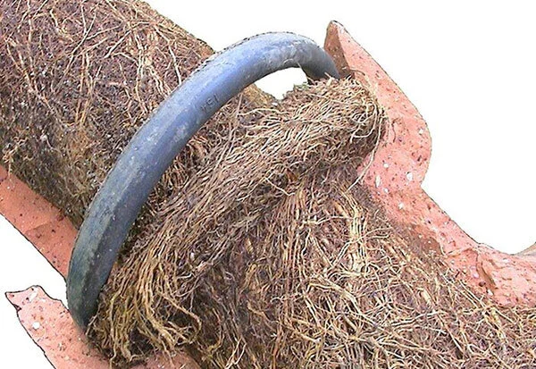 خانواده