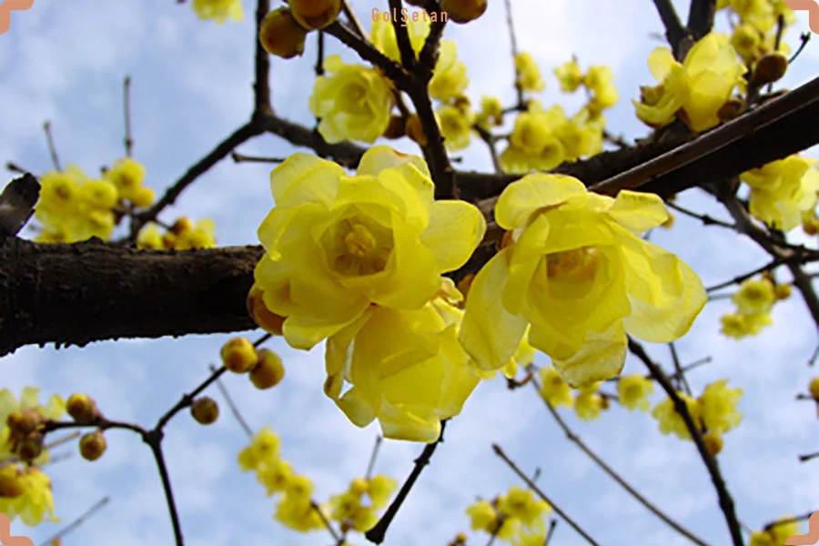 عمومی