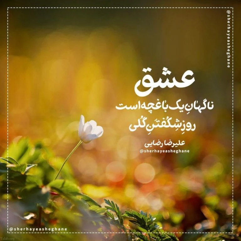 عمومی