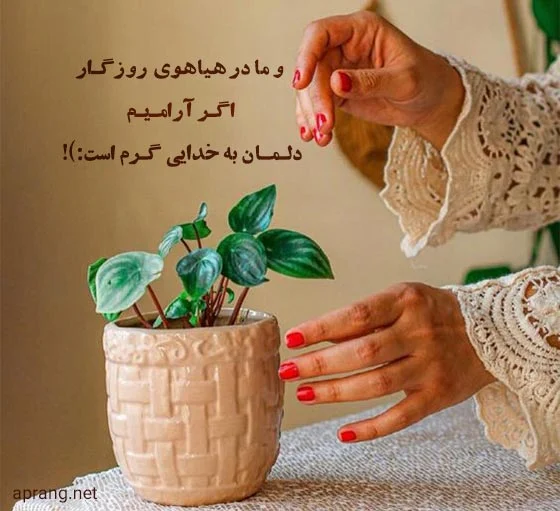 عمومی