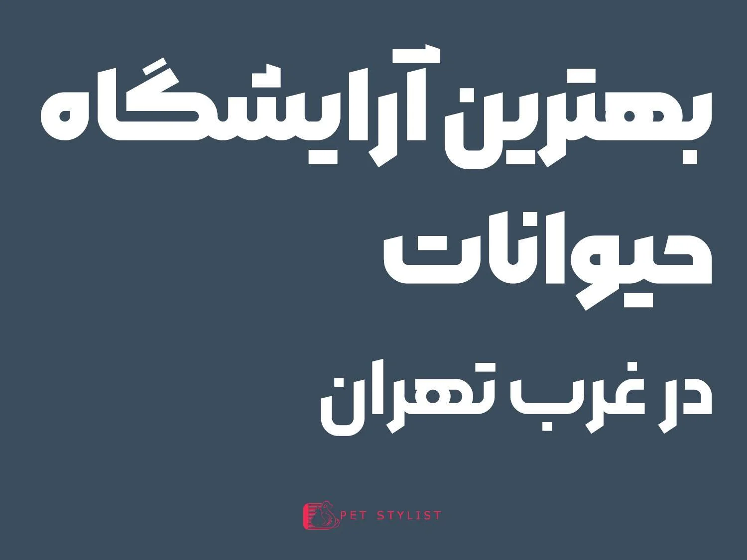 آرایش | آرایشگاه