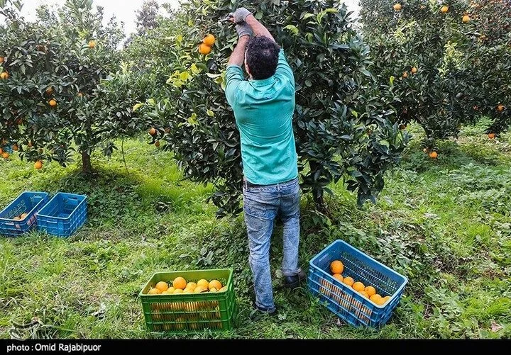 ساختمان ساختمان