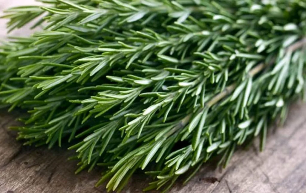 روغن روغن