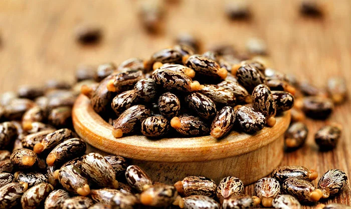 پوست پوست | روغن
