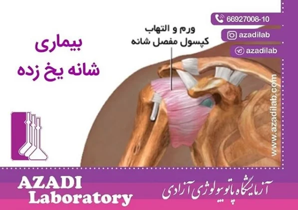 ورزش