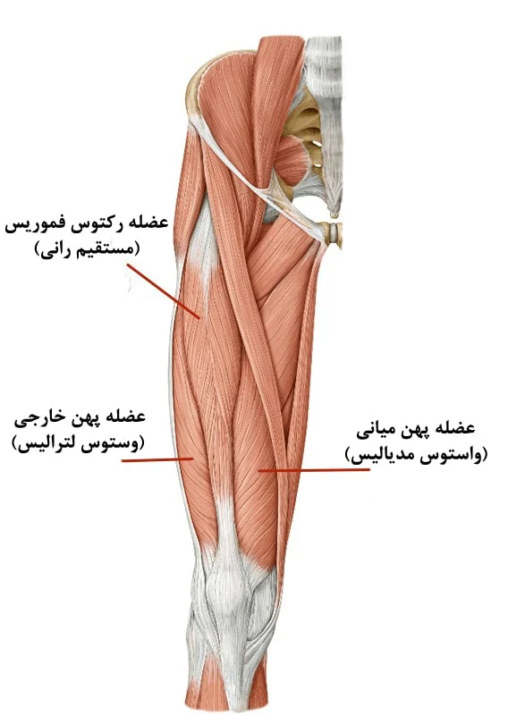 خانواده