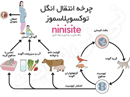 خانواده