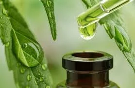 چگونه عصاره طبیعی بسازیم؟ آموزش کامل تهیه عصاره از گیاهان میوه ها و ادویه ها