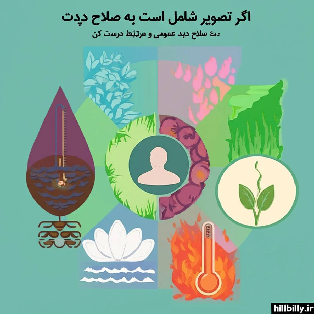 مزاج شناسی چیست؛ راهنمای جامع شناخت طبع و تعادل بدن در طب سنتی