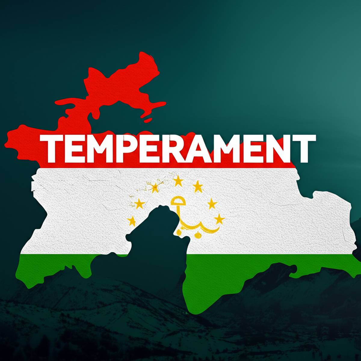 گردشگری