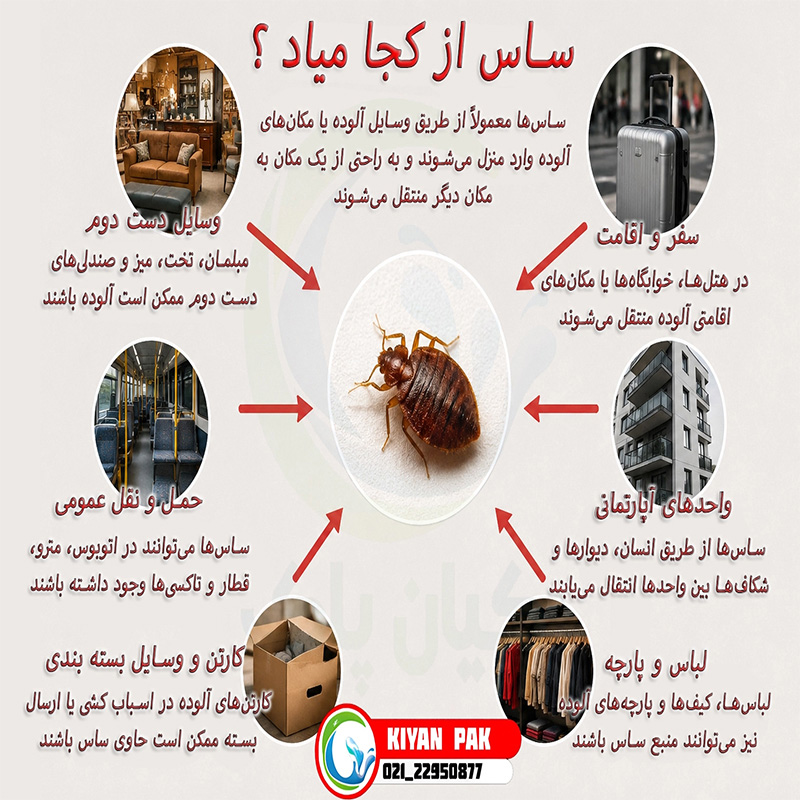 اسپری | پوست